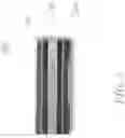 Fig. 03 - DISPOSABLE HEMOLYSIS SENSOR