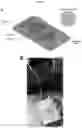 Fig. 03 - MICROFLUIDIC DEVICE AND METHOD OF PREPARING A CELL MODEL FOR DISEASE ASSOCIATED WITH CANCER
