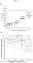 Fig. 05 - MICROFLUIDIC DEVICE AND METHOD OF PREPARING A CELL MODEL FOR DISEASE ASSOCIATED WITH CANCER