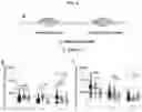 Fig. 07 - MICROFLUIDIC DEVICE AND METHOD OF PREPARING A CELL MODEL FOR DISEASE ASSOCIATED WITH CANCER