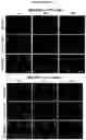 Fig. 13 - MICROFLUIDIC DEVICE AND METHOD OF PREPARING A CELL MODEL FOR DISEASE ASSOCIATED WITH CANCER