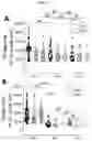 Fig. 15 - MICROFLUIDIC DEVICE AND METHOD OF PREPARING A CELL MODEL FOR DISEASE ASSOCIATED WITH CANCER