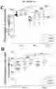 Fig. 16 - MICROFLUIDIC DEVICE AND METHOD OF PREPARING A CELL MODEL FOR DISEASE ASSOCIATED WITH CANCER