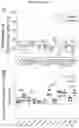 Fig. 24 - MICROFLUIDIC DEVICE AND METHOD OF PREPARING A CELL MODEL FOR DISEASE ASSOCIATED WITH CANCER