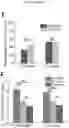 Fig. 32 - MICROFLUIDIC DEVICE AND METHOD OF PREPARING A CELL MODEL FOR DISEASE ASSOCIATED WITH CANCER