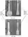 Fig. 09 - RAPID DIAGNOSTIC TESTS UTILIZING TRAP REGIONS