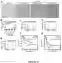 Fig. 09 - Methods of Detecting and Treating a Tumor Expressing PT346 PDK1