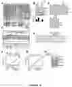 Fig. 11 - Methods of Detecting and Treating a Tumor Expressing PT346 PDK1