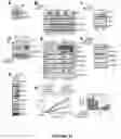 Fig. 12 - Methods of Detecting and Treating a Tumor Expressing PT346 PDK1