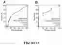 Fig. 16 - Methods of Detecting and Treating a Tumor Expressing PT346 PDK1