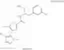 Fig. 20 - Methods of Detecting and Treating a Tumor Expressing PT346 PDK1