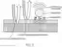 Fig. 05 - SYSTEMS AND METHODS FOR VESICLE CARGO LABELING AND DETECTION