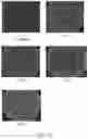 Fig. 19 - SYSTEMS AND METHODS FOR VESICLE CARGO LABELING AND DETECTION