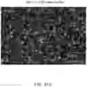 Fig. 29 - SYSTEMS AND METHODS FOR VESICLE CARGO LABELING AND DETECTION