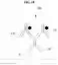 Fig. 03 - METHOD OF AMPLIFYING FLUORESCENT SIGNAL THROUGH CYCLIC STAINING OF TARGET MOLECULES VIA FLUOROPHORE-CONJUGATED COMPLEMENTARY ANTIBODIES