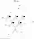 Fig. 04 - METHOD OF AMPLIFYING FLUORESCENT SIGNAL THROUGH CYCLIC STAINING OF TARGET MOLECULES VIA FLUOROPHORE-CONJUGATED COMPLEMENTARY ANTIBODIES