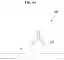 Fig. 14 - METHOD OF AMPLIFYING FLUORESCENT SIGNAL THROUGH CYCLIC STAINING OF TARGET MOLECULES VIA FLUOROPHORE-CONJUGATED COMPLEMENTARY ANTIBODIES