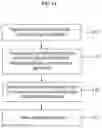 Fig. 28 - METHOD OF AMPLIFYING FLUORESCENT SIGNAL THROUGH CYCLIC STAINING OF TARGET MOLECULES VIA FLUOROPHORE-CONJUGATED COMPLEMENTARY ANTIBODIES