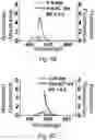 Fig. 15 - Super-resolution optical microscopy using aluminosilicate nanoparticles