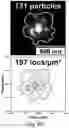 Fig. 25 - Super-resolution optical microscopy using aluminosilicate nanoparticles
