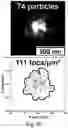 Fig. 27 - Super-resolution optical microscopy using aluminosilicate nanoparticles