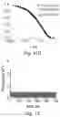 Fig. 35 - Super-resolution optical microscopy using aluminosilicate nanoparticles