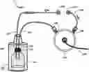 Fig. 01 - System and method of analysis of a protein using liquid chromatography-mass spectrometry