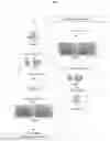Fig. 02 - System and method of analysis of a protein using liquid chromatography-mass spectrometry