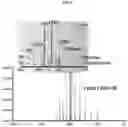 Fig. 09 - System and method of analysis of a protein using liquid chromatography-mass spectrometry