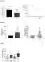 Fig. 04 - IN VITRO METHOD FOR THE DIAGNOSIS OR PROGNOSIS OF NEURODEGENERATIVE DISORDERS