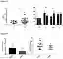 Fig. 07 - IN VITRO METHOD FOR THE DIAGNOSIS OR PROGNOSIS OF NEURODEGENERATIVE DISORDERS
