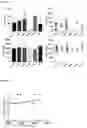 Fig. 09 - IN VITRO METHOD FOR THE DIAGNOSIS OR PROGNOSIS OF NEURODEGENERATIVE DISORDERS