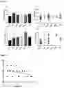 Fig. 10 - IN VITRO METHOD FOR THE DIAGNOSIS OR PROGNOSIS OF NEURODEGENERATIVE DISORDERS