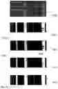 Fig. 15 - SYSTEM AND METHOD FOR AUTONOMOUSLY DETECTING SIGNALS ACROSS A RADIO SPECTRUM