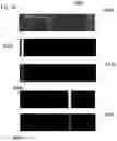 Fig. 17 - SYSTEM AND METHOD FOR AUTONOMOUSLY DETECTING SIGNALS ACROSS A RADIO SPECTRUM