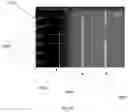 Fig. 19 - SYSTEM AND METHOD FOR AUTONOMOUSLY DETECTING SIGNALS ACROSS A RADIO SPECTRUM