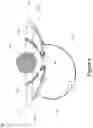 Fig. 06 - SYSTEMS AND METHODS FOR PERFORMING MAGNETIC RESONANCE IMAGING