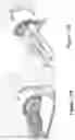 Fig. 19 - SYSTEMS AND METHODS FOR PERFORMING MAGNETIC RESONANCE IMAGING