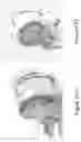 Fig. 24 - SYSTEMS AND METHODS FOR PERFORMING MAGNETIC RESONANCE IMAGING