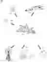 Fig. 01 - ID ambiguity reduction