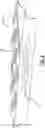 Fig. 06 - DECORATIVE CLEAR OR TRANSLUCENT PANEL, TRIM, OR LENS WITH TEXTURE ON OPPOSITE SIDES