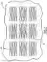 Fig. 07 - DECORATIVE CLEAR OR TRANSLUCENT PANEL, TRIM, OR LENS WITH TEXTURE ON OPPOSITE SIDES