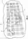 Fig. 09 - DECORATIVE CLEAR OR TRANSLUCENT PANEL, TRIM, OR LENS WITH TEXTURE ON OPPOSITE SIDES