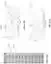 Fig. 10 - OPTICAL REJECTION PHOTONIC STRUCTURES