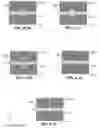 Fig. 15 - OPTICAL REJECTION PHOTONIC STRUCTURES