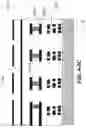 Fig. 27 - OPTICAL REJECTION PHOTONIC STRUCTURES