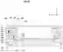 Fig. 11 - Lens moving apparatus and camera module and optical device including the same