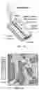Fig. 11 - Widefield three-dimensional microscopy with a quantum entanglement light source