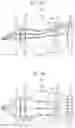 Fig. 04 - OPTICAL APPARATUS, ONBOARD SYSTEM HAVING THE SAME, AND MOBILE DEVICE