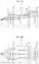 Fig. 07 - OPTICAL APPARATUS, ONBOARD SYSTEM HAVING THE SAME, AND MOBILE DEVICE